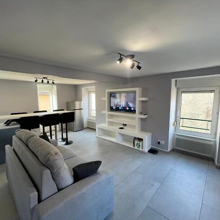 Appartement Familiale Premium : Proche Gare De 贝尔福 外观 照片