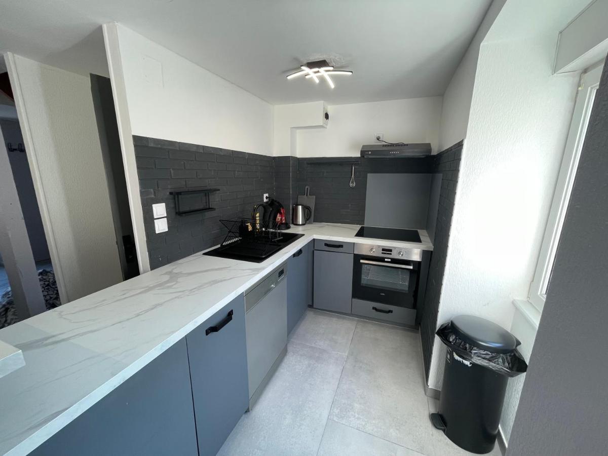 Appartement Familiale Premium : Proche Gare De 贝尔福 外观 照片